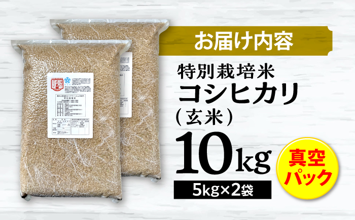 【先行予約】【9月中旬から順次発送】特別栽培米 コシヒカリ 真空パック 玄米 10kg （ 5kg × 2袋 ） お米 こしひかり ご飯 コシヒカリ おこめ 三次市/小川モータース [APCH004]