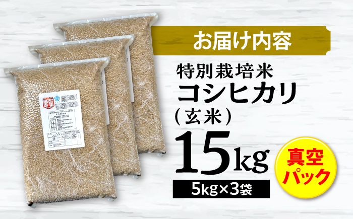 【先行予約】【9月中旬から順次発送】特別栽培米 コシヒカリ 真空パック 玄米 15kg （ 5kg × 3袋 ） お米 こしひかり ご飯 コシヒカリ おこめ 三次市/小川モータース [APCH006]