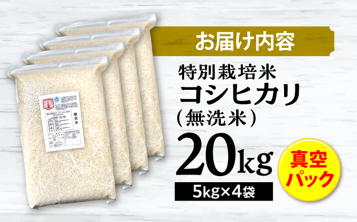 【先行予約】【9月中旬から順次発送】特別栽培米 コシヒカリ 真空パック 白米 （ 無洗米 ） 20kg （ 5kg × 4袋 ） お米 こしひかり ご飯 コシヒカリ おこめ 三次市/小川モータース [APCH007]