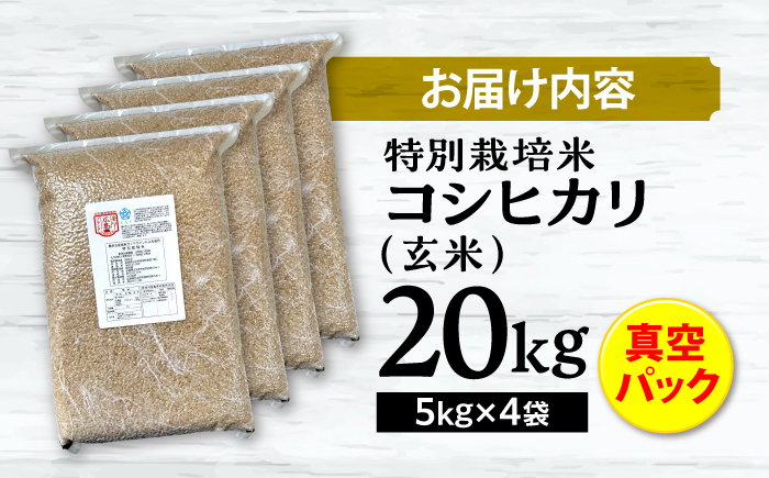 【先行予約】【9月中旬から順次発送】特別栽培米 コシヒカリ 真空パック 玄米 20kg （ 5kg × 4袋 ） お米 こしひかり ご飯 コシヒカリ おこめ 三次市/小川モータース [APCH008]