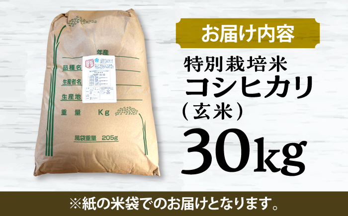 【先行予約】【9月中旬から順次発送】特別栽培米 コシヒカリ 玄米 30kg お米 こしひかり ご飯 コシヒカリ おこめ 三次市/小川モータース [APCH009]