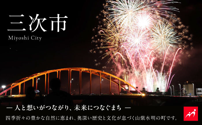 【ゴシックブラウン】 エアコン 室外機 カバー 木製 日除け 断熱 夏用 冬用 三次市 / 佐々部材木店 [APCP004]