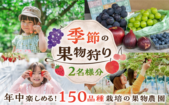 季節の果物狩り 体験チケット（2名様分） フルーツ狩り 親子 子連れ ファミリー 食べ比べ 三次市/平田観光農園 [APAA001]