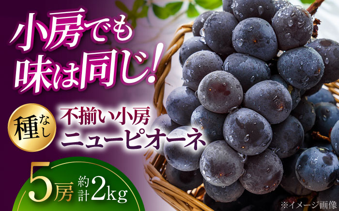 【2026年先行予約】＜8月下旬頃から順次発送＞不揃い小房ニューピオーネ5房（約2kg） 訳あり 不揃い ふぞろい 種なし ぶどう ニュー ピオーネ フルーツ 果物 ブドウ 三次市/黒瀬ぶどう園 [APAB003]