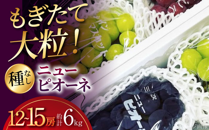 【2026年先行予約】 三次の葡萄 ニューピオーネ（約6kg／12から15房） ＜8月下旬頃から順次発送＞ 三次市 / 黒瀬ぶどう園 [APAB005]
