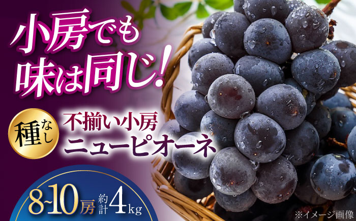 【2026年先行予約】 不揃い 三次のぶどう ニューピオーネ（約4kg／8から10房）＜8月下旬頃から順次発送＞ 小房 三次市 / 黒瀬ぶどう園 [APAB006]