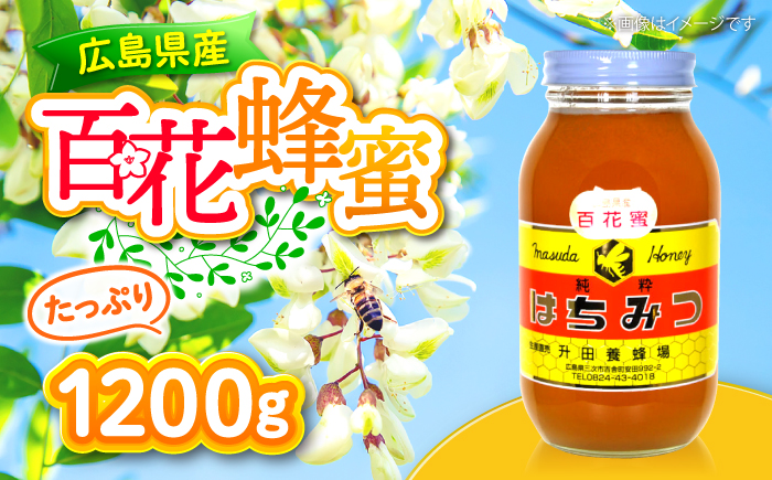 升田養蜂場のはちみつ 百花蜂蜜 1200g×1本 大容量 国産 非加熱 香料無添加 ハニー お取り寄せ グルメ 産地直送 ふるさと納税 ギフト 贈答 プレゼント 広島県産 スーパーフード パンケーキ ヨーグルト 三次市/升田養蜂場 [APAE006]