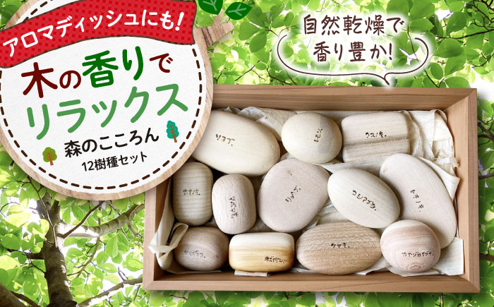 森のこころん12樹種セット  知育 おもちゃ 玩具 木製  三次市/ 一場木工所 [APAL015]