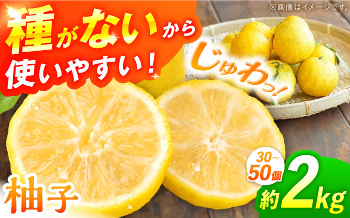 【先行予約】【11月中旬から12月中旬に順次発送】 種なし柚子 2kg（30から50個）ゆず 種無し ユズ 多田錦 三次産 種なし 柚子 三次市/小さなくだもの畑 [APAQ001]
