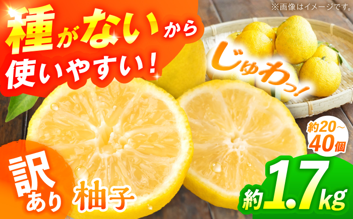 【訳あり】【先行予約】【11月中旬から12月中旬に順次発送】 種なし柚子 約1.7kg（約20個から40個）ゆず 種無し ユズ 訳あり 家庭用 柚子 種なし 三次市/小さなくだもの畑 [APAQ003]