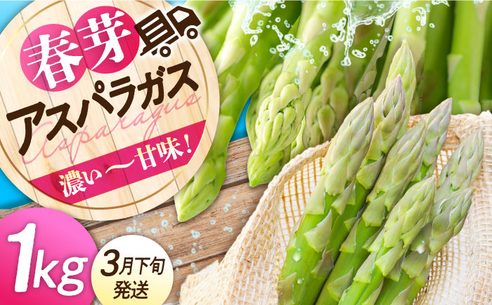三次の恵みをおふくわけ 朝採れ 春芽アスパラガス（約1kg）とれたて アスパラ 旬 野菜 三次市/福分アスパラ [APAU001]