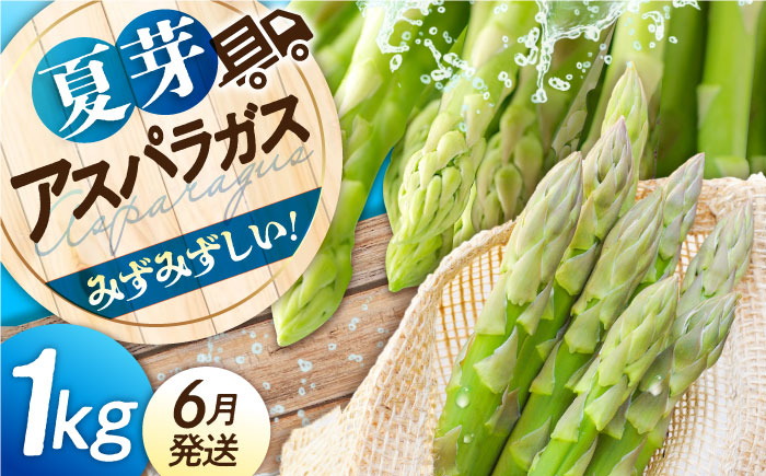 三次の恵みをおふくわけ 朝採れ 夏芽アスパラガス（約1kg）とれたて アスパラ 旬 野菜 三次市/福分アスパラ [APAU002]