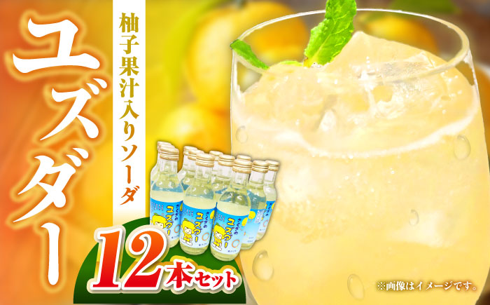 ユズダー12本セット 三次市/NPO法人 元気むらさくぎ [APAY001]