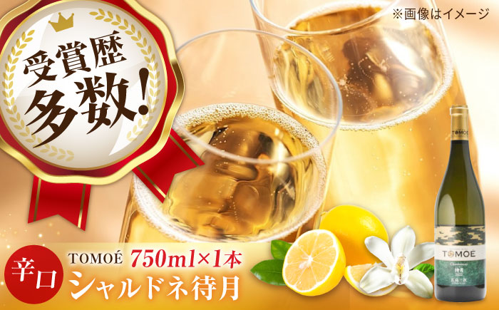 TOMOE シャルドネ 待月 白ワイン 辛口 750ml 12.5％ ワイン 受賞 飲み比べ ワインセット ギフト 三次市/広島三次ワイナリー [APAZ011]