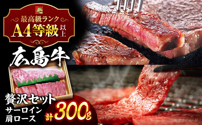 広島 和牛 贅沢セット 300g （肩ロース 焼肉用 150g サーロイン 150g） 三次市/広島三次ワイナリー [APAZ022]