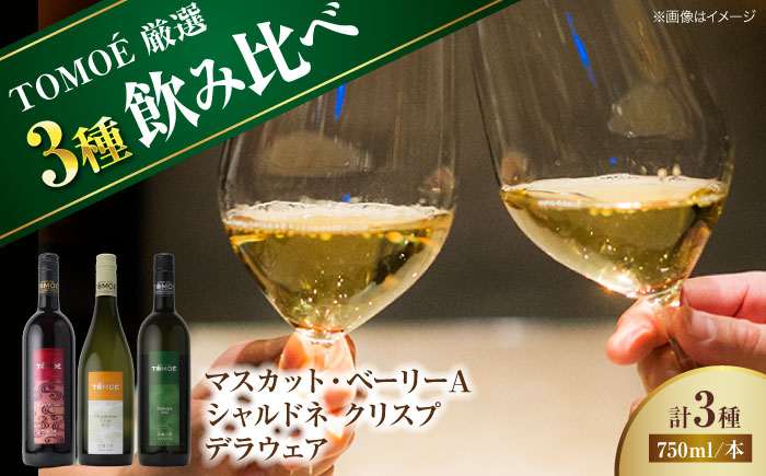 ～TOMOE 厳選3種～おすすめ飲み比べ3種セット おさけ 洋酒 受賞 飲み比べ 国産 ギフト 贈答 プレゼント ぶどう 葡萄 広島県産 三次市/広島三次ワイナリー [APAZ027]