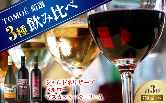 厳選TOMOEワイン３本セット ワイン 受賞 飲み比べ ワインセット ギフト 三次市/広島三次ワイナリー [APAZ033]