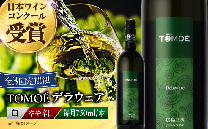 【全3回定期便】TOMOEデラウェア 白ワイン やや辛口 750ml 1本 白 ワイン 受賞 ギフト 醸造 おすすめ 三次市 / 広島三次ワイナリー [APAZ050]