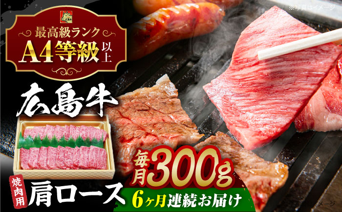 【全6回定期便】広島和牛肩ロース 焼肉用 300g 三次市 / 広島三次ワイナリー [APAZ071]