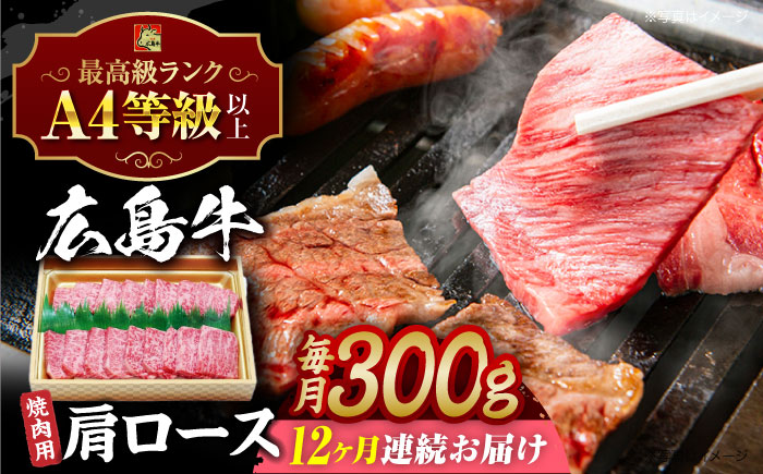 【全12回定期便】広島和牛肩ロース 焼肉用 300g 三次市 / 広島三次ワイナリー [APAZ072]