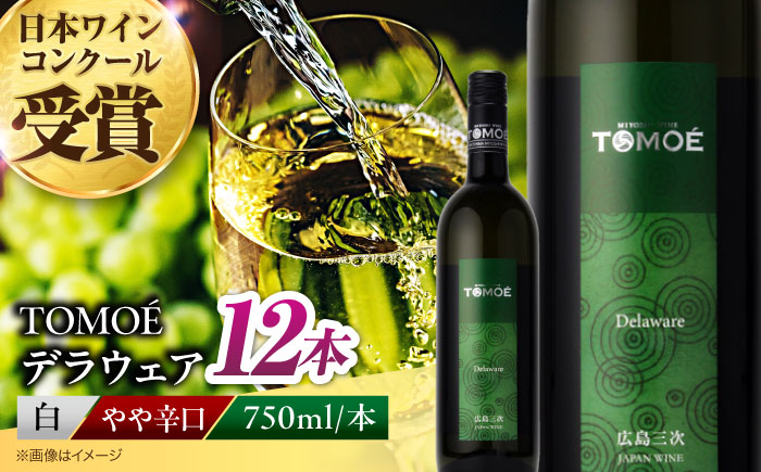 TOMOEデラウェア 白ワイン やや辛口 750ml×12本 ワイン 受賞 ギフト 広島 人気 おうち ディナー ランチ お酒 パーティー わいん 三次市 / 広島三次ワイナリー [APAZ092]