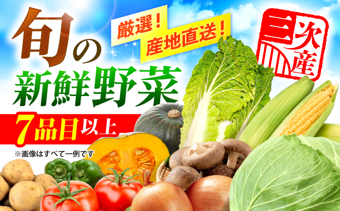 厳選！農夫のお野菜セット 旬の野菜 7品目以上 詰め合わせ 野菜セット 新鮮 食材 三次市/布野特産センター [APBA001]
