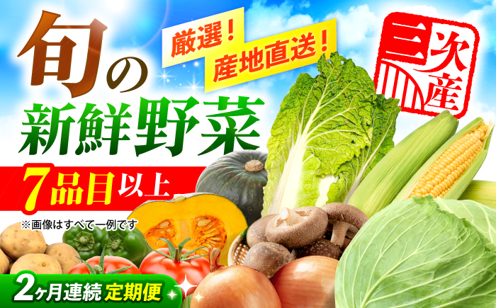 【全2回定期便】厳選！農夫のお野菜セット 旬の野菜 7品目以上 詰め合わせ 野菜セット 新鮮 食材 三次市/布野特産センター [APBA014]