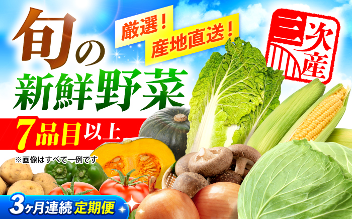 【全3回定期便】厳選！農夫のお野菜セット 旬の野菜 7品目以上 詰め合わせ 野菜セット 新鮮 食材 三次市/布野特産センター [APBA015]