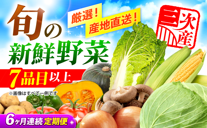 【全6回定期便】厳選！農夫のお野菜セット 旬の野菜 7品目以上 詰め合わせ 野菜セット 新鮮 食材 三次市/布野特産センター [APBA016]