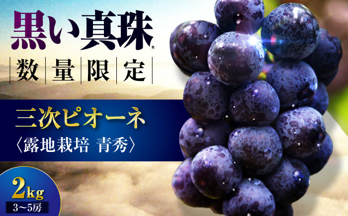 【先行予約】【8月下旬以降順次発送】 三次ピオーネ 露地栽培 青秀 2kg （3～5房） 30セット限定 ぶどう ピオーネ 葡萄 ブドウ フルーツ 果物 三次市 / 三次ピオーネ生産組合 [APBD002]