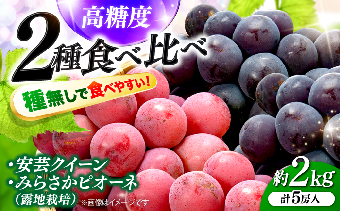 【先行予約】【8月下旬から9月上旬に順次発送】みらさかピオーネ2房＆安芸クイーン3房 計2kg 5房入 （露地栽培） フルーツ ギフト ピオーネ ぶどう 果物 三次市/みらさかピオーネ直売所 [APBE005]