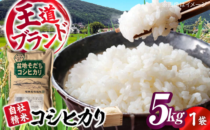 盆地そだちこしひかり 5kg 令和7年産 米 こめ 白米 精米 ご飯 三次市 / 福田農場 [APBM027]