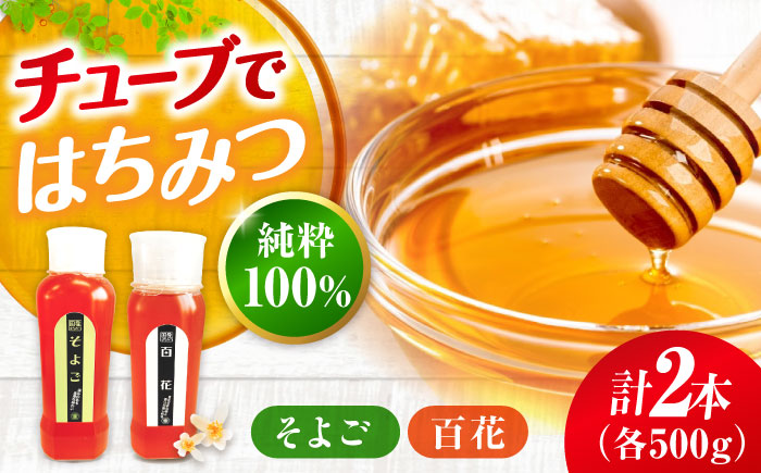 手軽に簡単チューブはちみつ（百花・そよご）500g×2種 計2本セット  ハニー お取り寄せ グルメ 産地直送 ふるさと納税 ギフト プレゼント スーパーフード パンケーキ ヨーグルト 三次市/重森養蜂場 [APBO004]