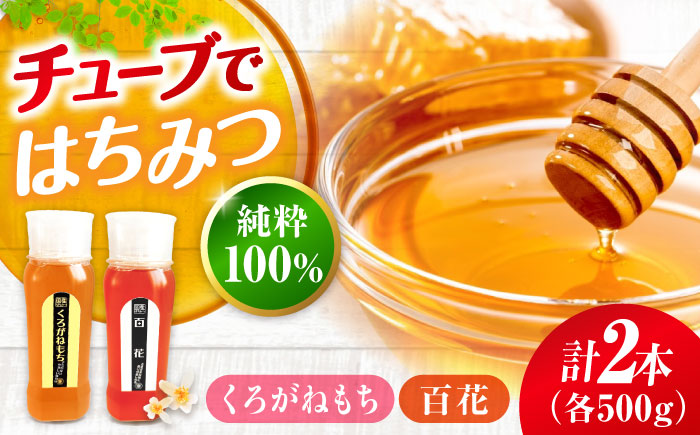 手軽に簡単チューブはちみつ（百花・くろがねもち）500g×2種 計2本セット  ハニー お取り寄せ グルメ 産地直送 ふるさと納税 ギフト プレゼント スーパーフード パンケーキ ヨーグルト 三次市/重森養蜂場 [APBO005]