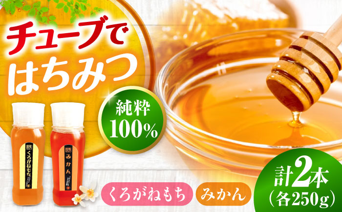 手軽に簡単チューブはちみつ（みかん・くろがねもち）250g×2種 計2本セット  ハニー お取り寄せ グルメ 産地直送 ふるさと納税 ギフト プレゼント スーパーフード パンケーキ ヨーグルト 三次市/重森養蜂場 [APBO013]