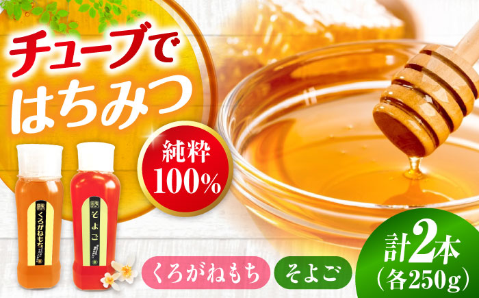 手軽に簡単チューブはちみつ（そよご・くろがねもち）250g×2種 計2本セット  ハニー お取り寄せ グルメ 産地直送 ふるさと納税 ギフト プレゼント スーパーフード パンケーキ ヨーグルト 三次市/重森養蜂場 [APBO014]