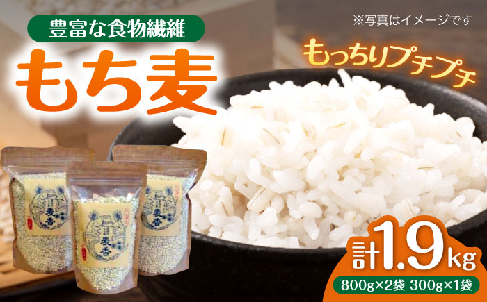 もち麦 ｢麦香｣ 1.9kg もち麦 国産 小分け ダイエット 腸活 広島県三次産 三次市/安田農産 [APBP001]