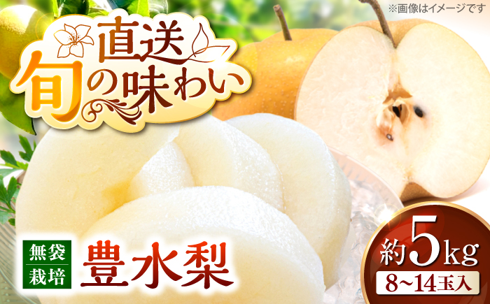 【先行予約】【9月中旬から9月末に順次発送】高丸の梨 「豊水」 5kg（8から14玉入） 豊水 梨 なし フルーツ 果物 ナシ 三次市/高丸農園 [APBU002]