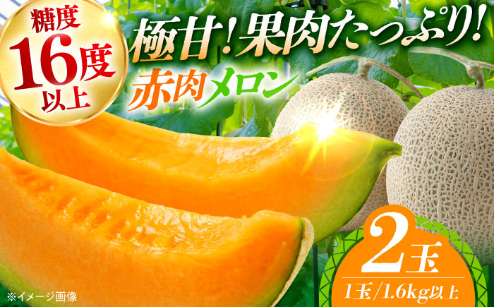 【先行予約】【7月下旬から8月上旬に順次発送】　メロン 2玉 計3kg以上（1玉 約1.6kg以上）赤肉 メロン レノン 糖度16度以上 フルーツ 三次市/なちゅbio [APCA001]