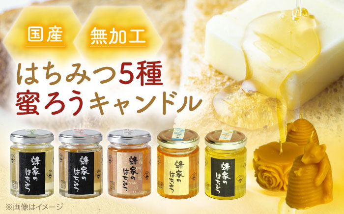 三次はちみつ園 蜂家の国産5種類（あかしあ・みかん・とち・しな・野山）＆蜜ろうキャンドルセット  ハニー お取り寄せ グルメ 産地直送 ふるさと納税 ギフト プレゼント スーパーフード パンケーキ ヨーグルト 三次市/Beemonte [APCB004]