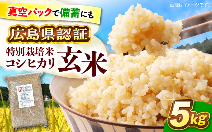 【先行予約】【9月中旬から順次発送】特別栽培米 コシヒカリ 真空パック 玄米 5kg お米 こしひかり ご飯 コシヒカリ おこめ 三次市/小川モータース [APCH002]