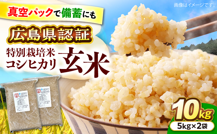 【先行予約】【9月中旬から順次発送】特別栽培米 コシヒカリ 真空パック 玄米 10kg （ 5kg × 2袋 ） お米 こしひかり ご飯 コシヒカリ おこめ 三次市/小川モータース [APCH004]