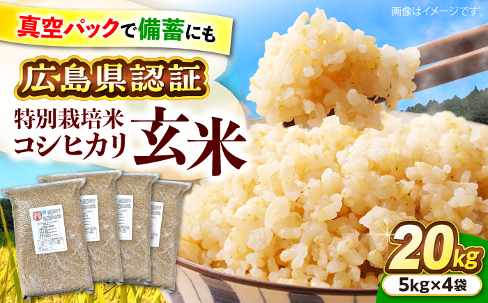 【先行予約】【9月中旬から順次発送】特別栽培米 コシヒカリ 真空パック 玄米 20kg （ 5kg × 4袋 ） お米 こしひかり ご飯 コシヒカリ おこめ 三次市/小川モータース [APCH008]