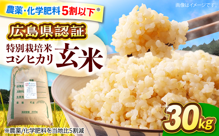【先行予約】【9月中旬から順次発送】特別栽培米 コシヒカリ 玄米 30kg お米 こしひかり ご飯 コシヒカリ おこめ 三次市/小川モータース [APCH009]
