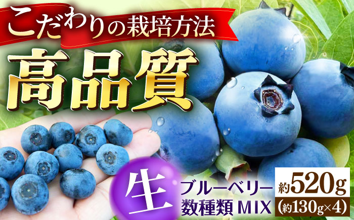 【冷蔵】【6月中旬から7月下旬に順次発送】ブルーベリー 520g（130g×4パック） 生ブルーベリー ミックスベリー ブルーベリー 三次市/小川モータース [APCH010]