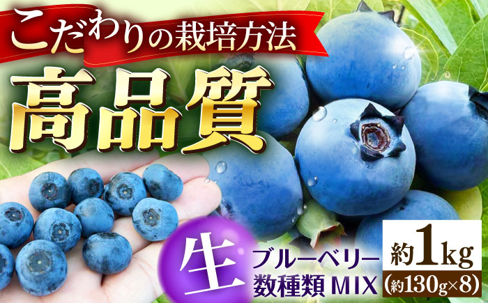 【冷蔵】【6月中旬から7月下旬に順次発送】ブルーベリー 約1kg（130g×8パック） 生ブルーベリー ミックスベリー ブルーベリー 三次市/小川モータース [APCH012]