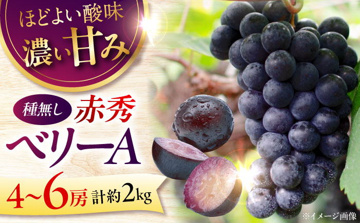 【2026年先行予約】＜9月上旬から順次発送＞ぶどう ベリーA 2kg（4～6房）赤秀 ぶどう 葡萄 フルーツ 果物 くだもの ぶどう 三次市/芝床農園 [APCK005]