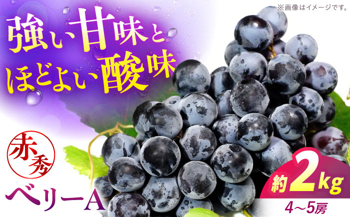 【2026年先行予約】＜9月上旬から順次発送＞ぶどう ベリーA 2kg（4から5房） 赤秀 露地栽培 マスカット ブドウ 果物 くだもの フルーツ ぶどう 葡萄 三次市/西田ぶどう園 [APCM011]