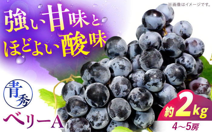 【2026年先行予約】＜9月上旬から順次発送＞ぶどう ベリーA 2kg（4から5房） 青秀 露地栽培 マスカット ブドウ 果物 くだもの フルーツ ぶどう 葡萄 三次市/西田ぶどう園 [APCM012]
