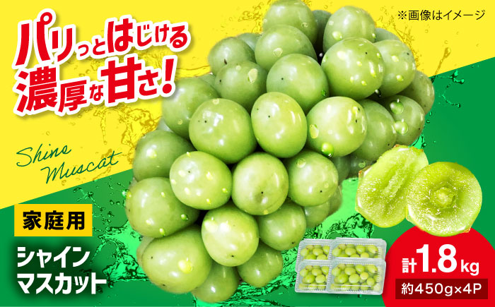 【2026年先行予約】＜9月下旬から順次発送＞家庭用 シャインマスカット 計1.8kg（約450g×4パック） 粒入り マスカット ぶどう ブドウ 葡萄 シャインマスカット 三次市 / 辰巳農園 [APCR001]